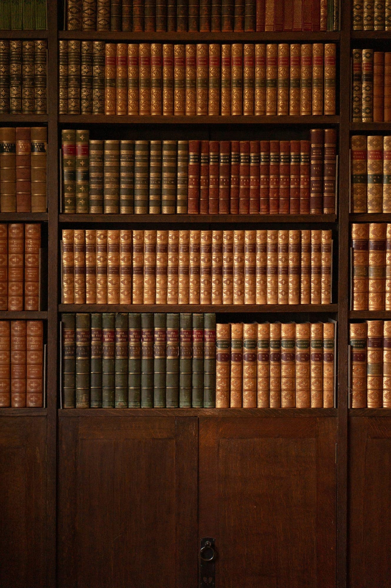 Leather-bound volumes on dark wood shelves