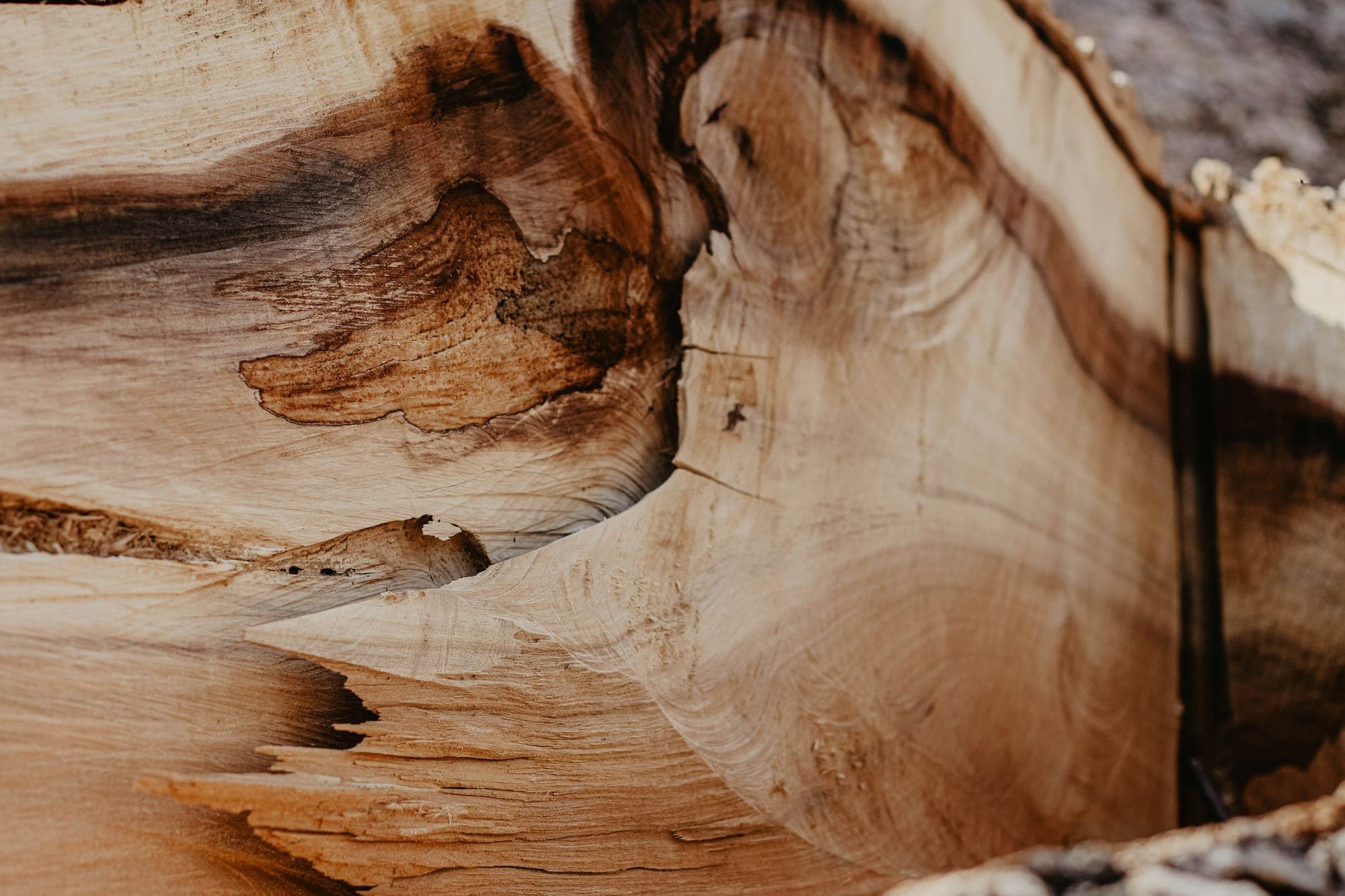 A highly figured hardwood slab, milled and ready for a top
