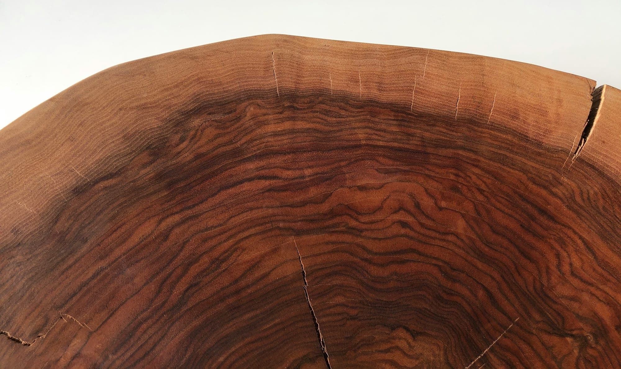 The live edge of a thick walnut slab table top